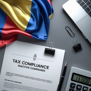 Colombian annual Inactive Company Tax Filing Ordinary Regime