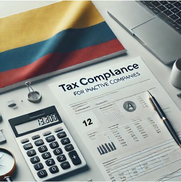 Annual Dormant Company Tax Filing - Colombia