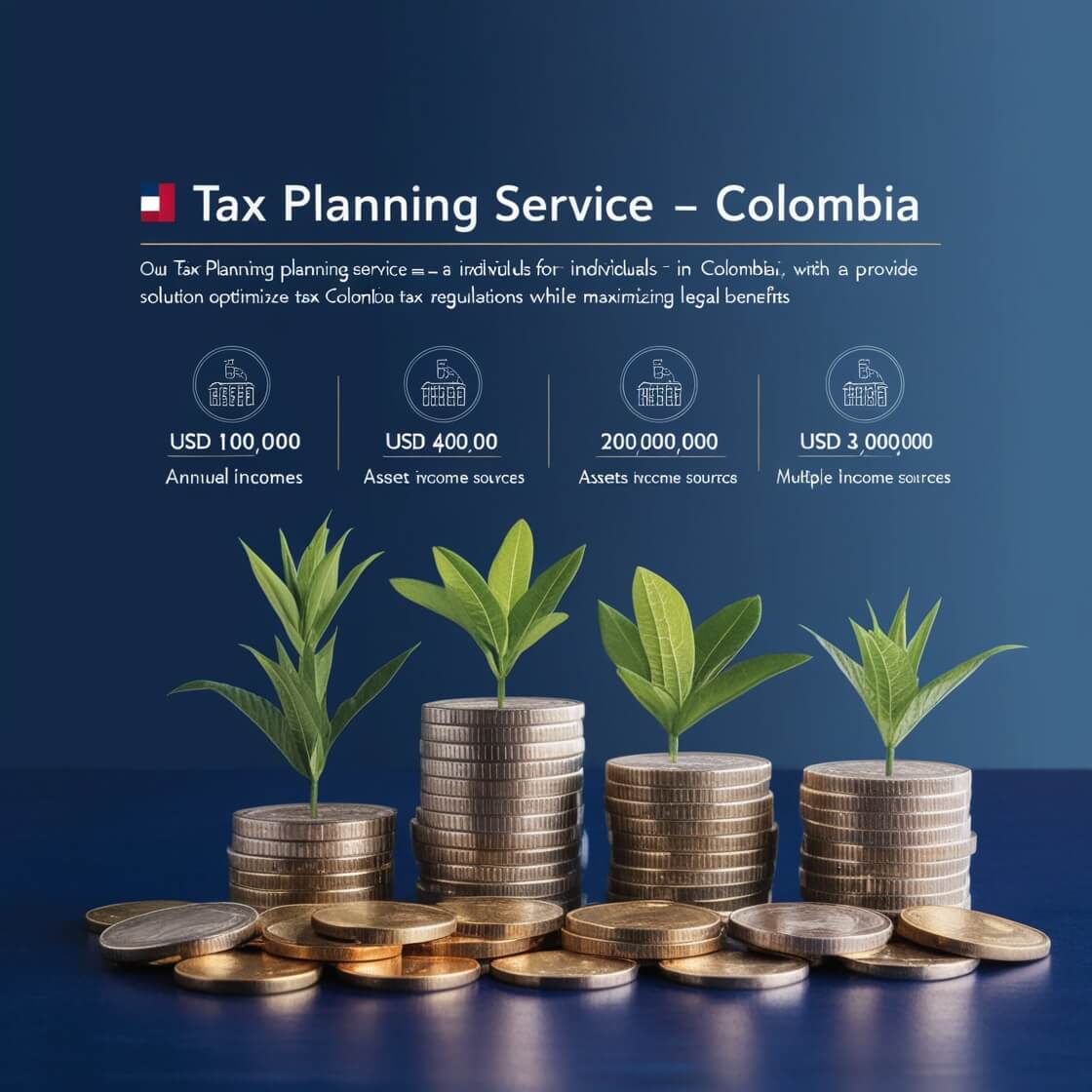 Individual Monthly Tax Planning Service Tax resident Colombia - Starting at $800 usd